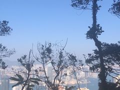 -太平山顶