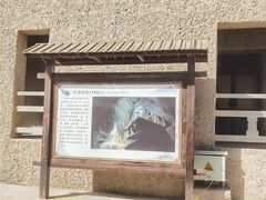 -敦煌莫高窟数字展示中心