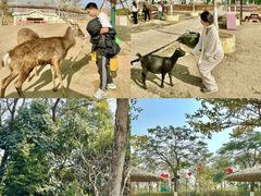 -盈香心动乐园