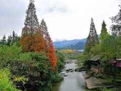 -雅安上里古镇