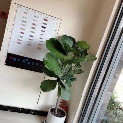 -Fanni美甲美睫皮肤管理