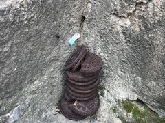 -长春观