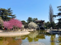 -国家植物园南园