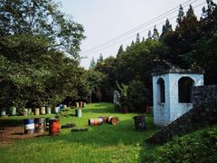 -上海滨江森林公园