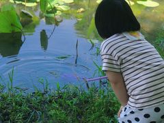 -滆湖低碳生态公园