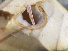 -范饭椰林川湘味海鲜·椰子鸡(三亚湾椰梦长廊店)