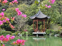 -云溪植物园