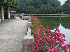 -广州市帽峰山景区