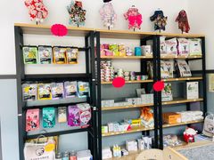 -伟伟宠物医院·瑞派猫友好医院·猫科(光谷店)