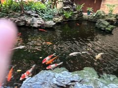 -广州白天鹅宾馆