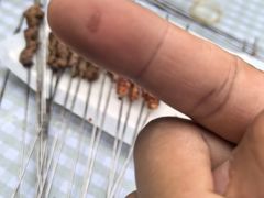 -尕羊烤肉餐厅·清真(会宁路店)