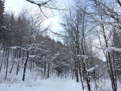 -雪谷