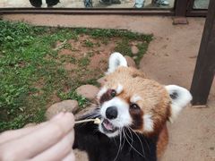 -云南野生动物园