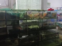 -坤记海鲜大排档(老街店)