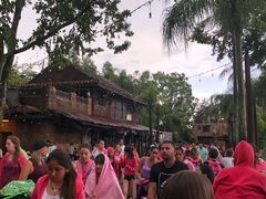 -奥兰多迪士尼动物王国乐园