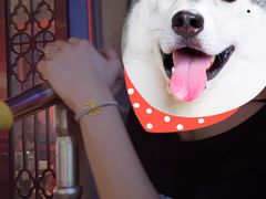 -欢乐迪KTV(新天店)