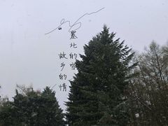 -长春市南湖公园