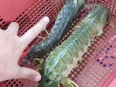 -班赞海鲜市场