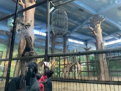 -鄂尔多斯野生动物园