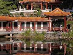 -深圳仙湖植物园