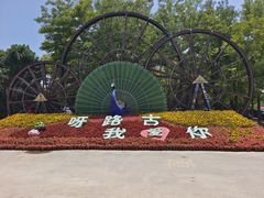-呀路古热带植物园