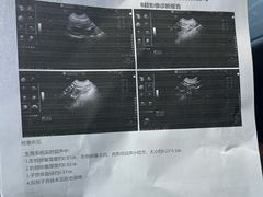 -美联众合动物医院·24h转诊中心