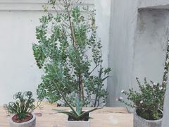 -拾壹cafe·工作室
