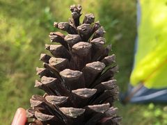 -盒马鲜生(杭州运河上街店)