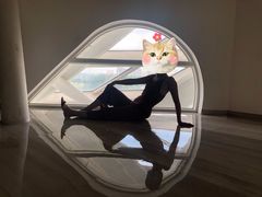 -凤凰中心