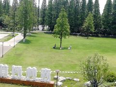 -黄海国家森林公园