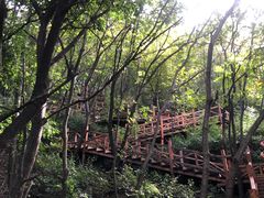 -大岭沟猕猴桃谷风景区