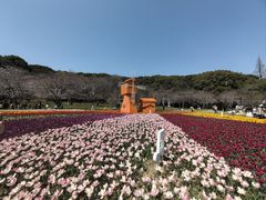 -苏州上方山国家森林公园