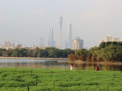 -海珠湖公园