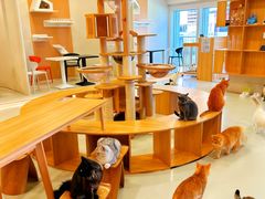 -麦当劳(济泺路店)