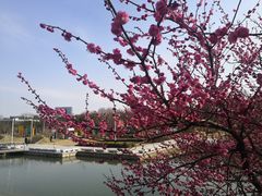 -白塘生态植物园