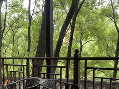 -巴倒烫陆派火锅山庄(南山总店)