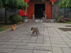 -有喜胶东小馆(超极合生汇太申祥和店)