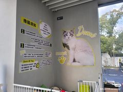 -上海浦东smart汽车全功能店(金桥店)