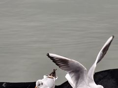 -蠡湖大桥公园