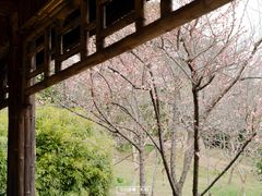 -苏州上方山国家森林公园