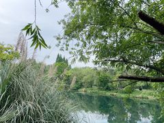 -贵阳市花溪国家城市湿地公园