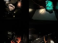 -深圳珠宝博物馆