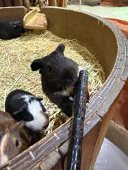 -Zoolung Zoolung动物主题公园(海信广场店)