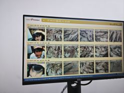 -大麦微针植发全国连锁