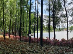 -荔湾湖公园