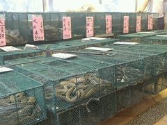 -荔城生鲜盛宴(番禺旗舰店)