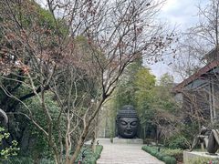 -杭州植物园