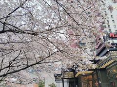 -玛格萝妮比萨屋(四平店)