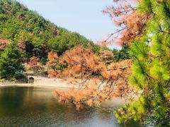 -黄陂区野村谷景区
