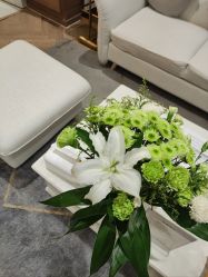 -HEYAN长风荷妍专业脱毛美肤
